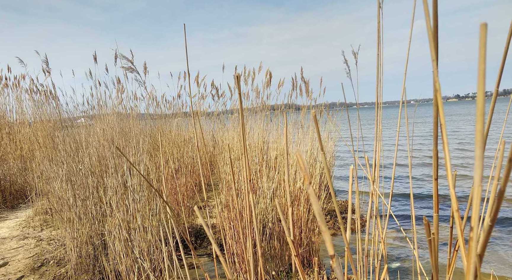 MagothyRiver%20photo%20cropped